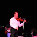 violi